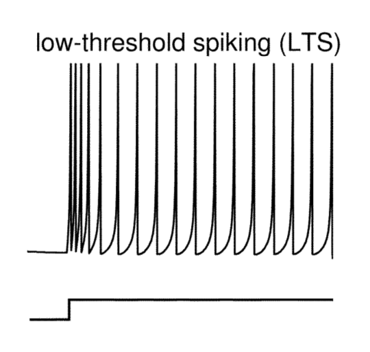 Priebeh potenciálu na reálnom neuróne typu Low-threshold spiking